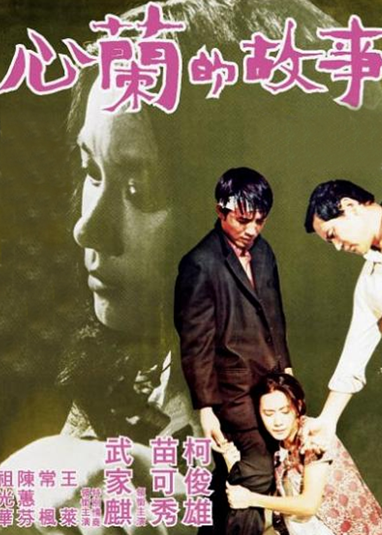 心兰的故事封面图