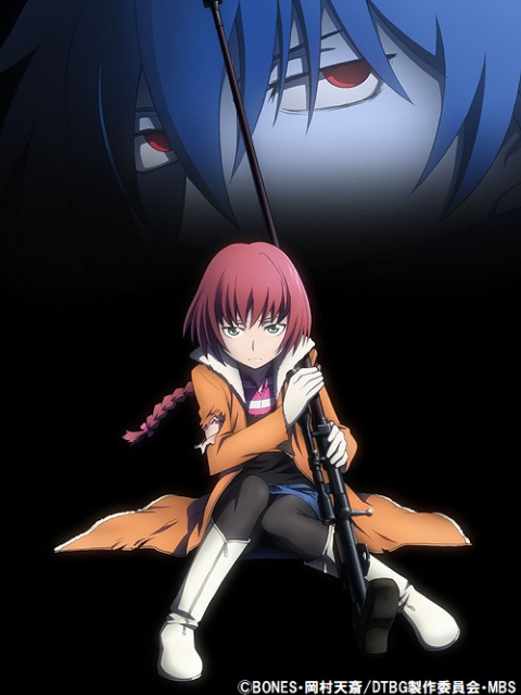 DARKER THAN BLACK -流星的双子-封面图