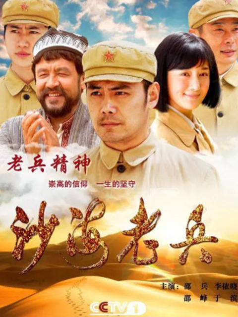 沙海老兵封面图
