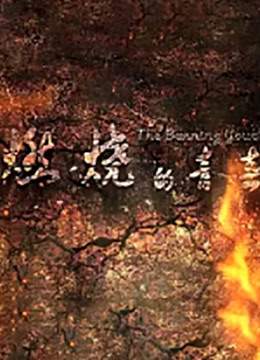 燃烧的青春封面图