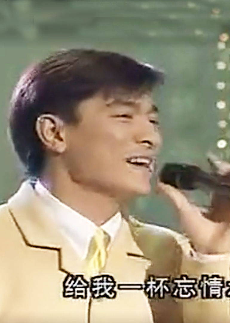 1995央视春晚封面图