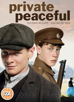 柑橘与柠檬啊封面图