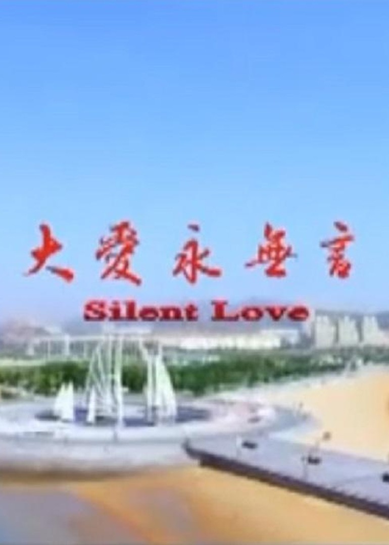 大爱永无言封面图