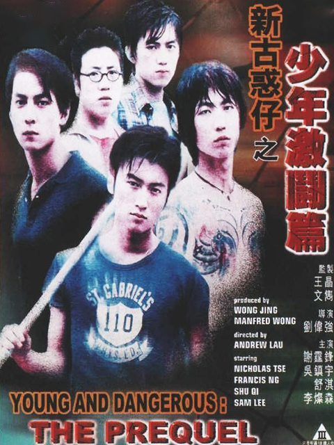 新古惑仔之少年激斗篇封面图