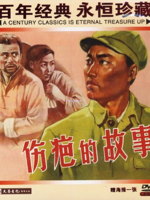 伤疤的故事封面图