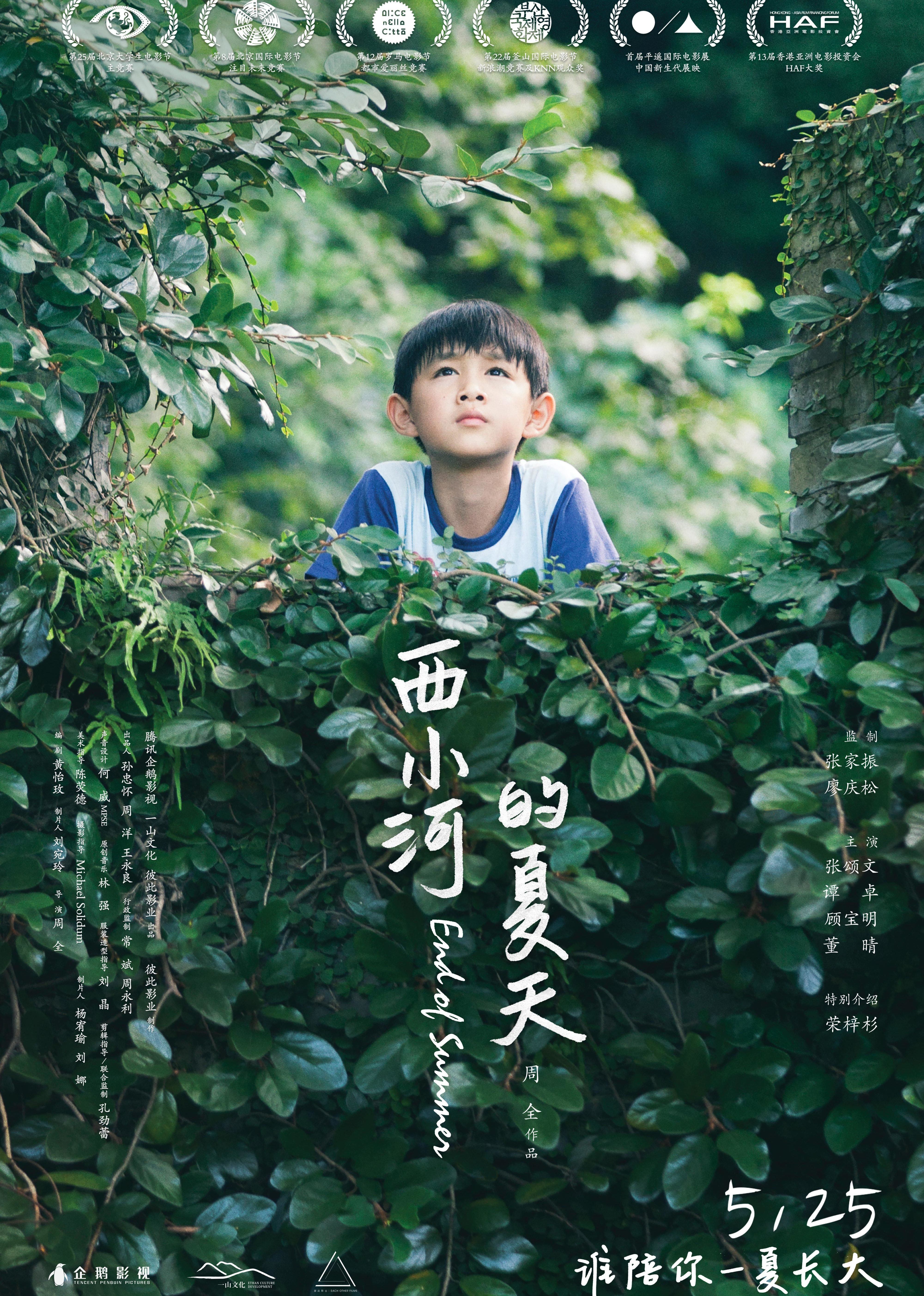 西小河的夏天封面图