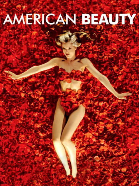 美国丽人封面图