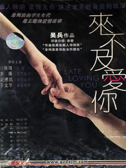 来不及爱你封面图