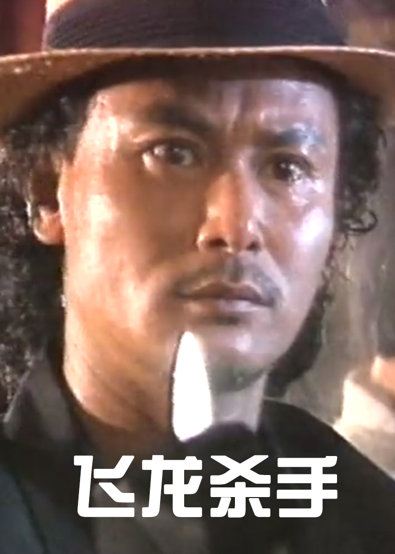 飞龙杀手封面图