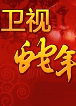 陕西卫视2013春晚封面图