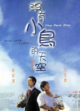 没有小鸟的天空封面图