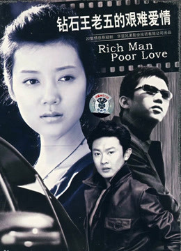 钻石王老五的艰难爱情封面图