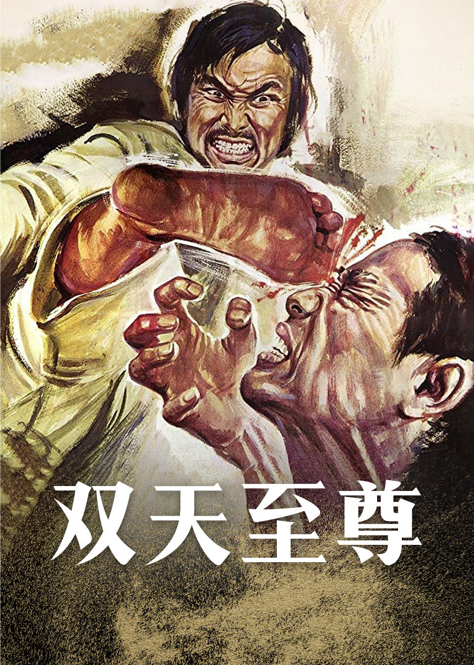 双天至尊封面图