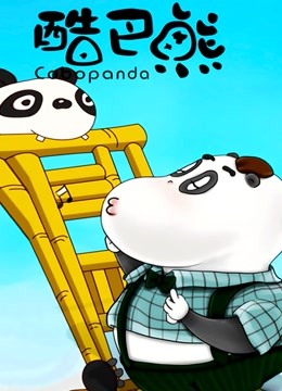 酷巴熊封面图