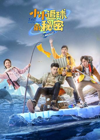 小小追球的秘密封面图