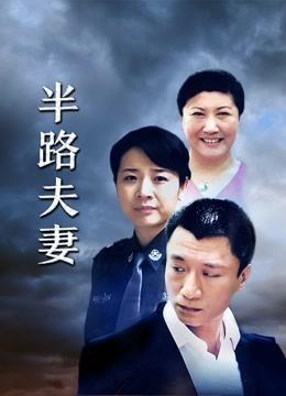 半路夫妻封面图