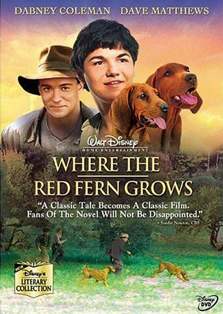 红色羊齿草的故乡封面图