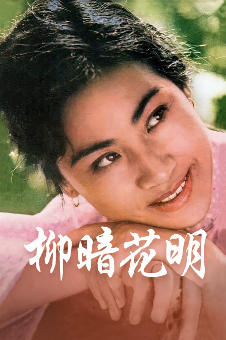 柳暗花明封面图