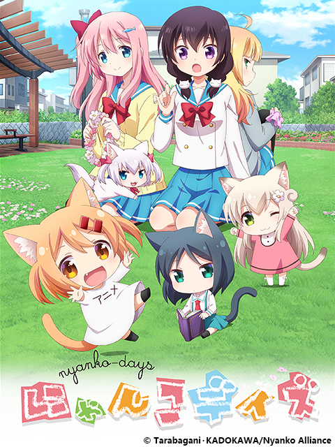 猫咪日常封面图