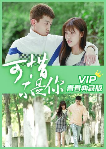 可惜不是你 VIP青春典藏版封面图
