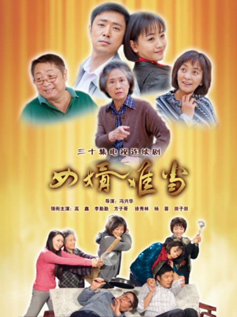 女婿难当封面图