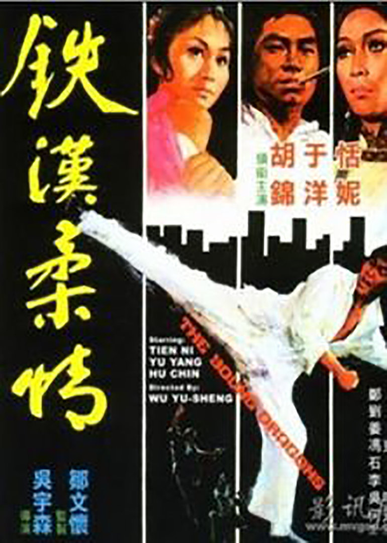 铁汉柔情封面图