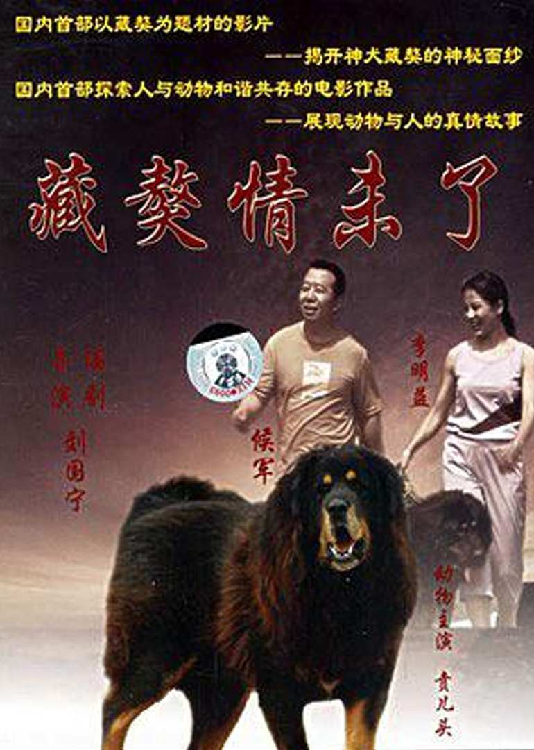 藏獒情未了封面图