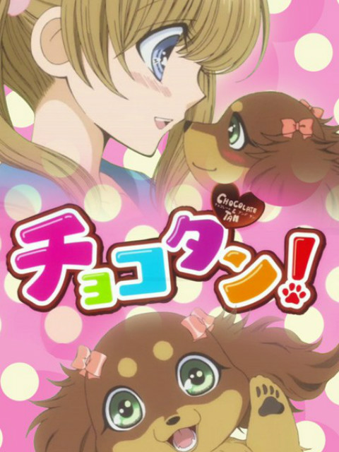 巧克力小狗封面图