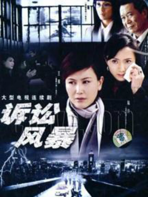 诉讼风暴封面图