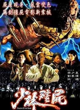 少林僵尸封面图