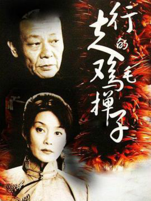 行走的鸡毛掸子封面图