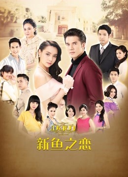 新鱼之恋