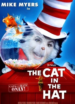 戴帽子的猫封面图