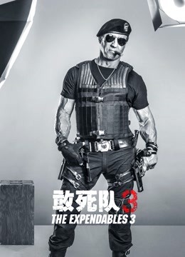 敢死队3（普通话）封面图