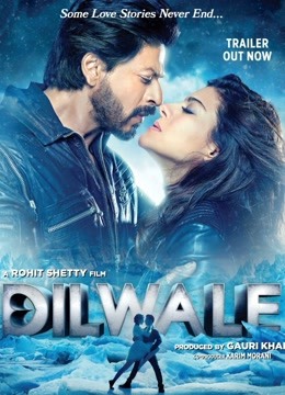 慷慨之心封面图