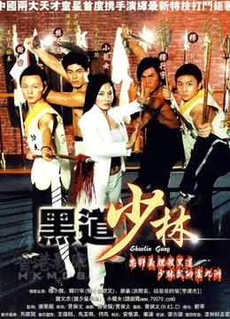 黑道少林封面图