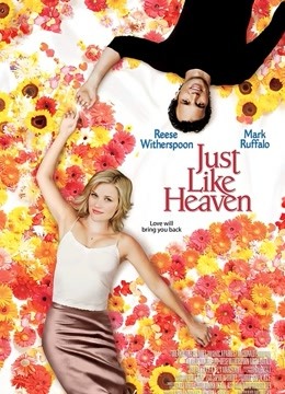 宛如天堂封面图