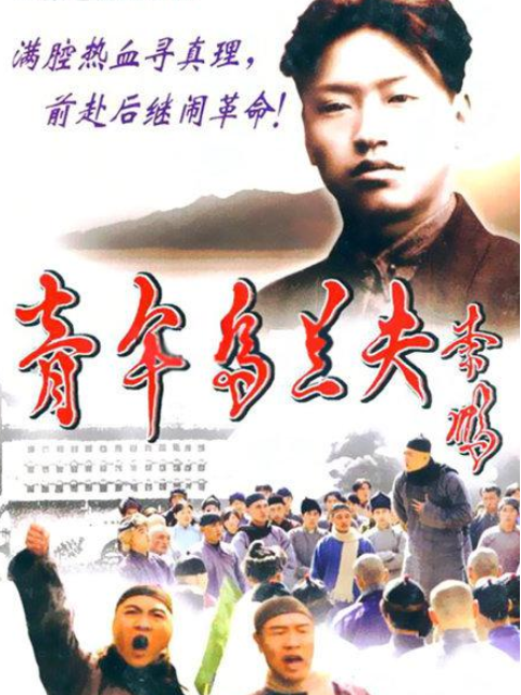 青年乌兰夫封面图