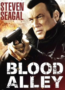 血巷封面图