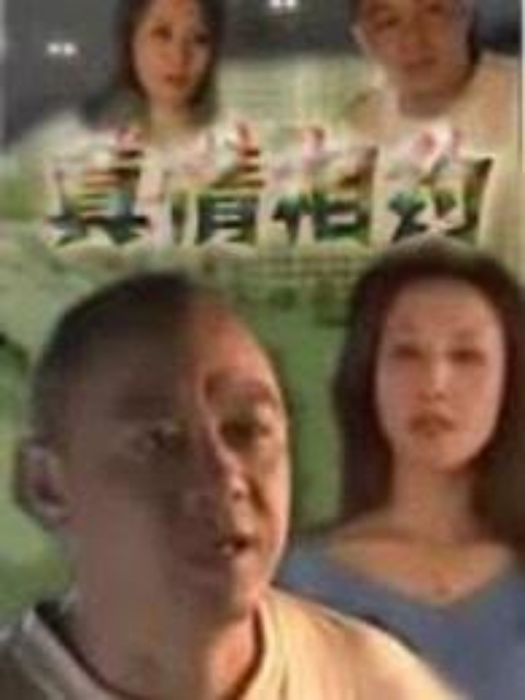 真情相约封面图