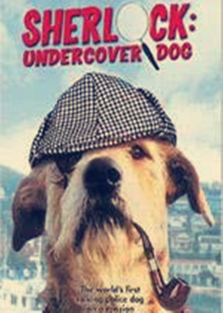 侠肝义犬封面图