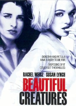 麻辣追杀令封面图