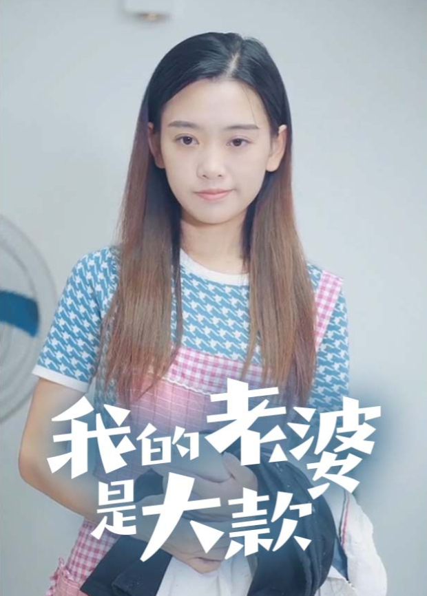 我的老婆是大款封面图