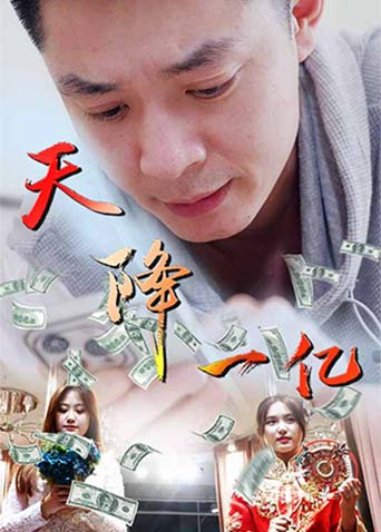 天降一亿封面图