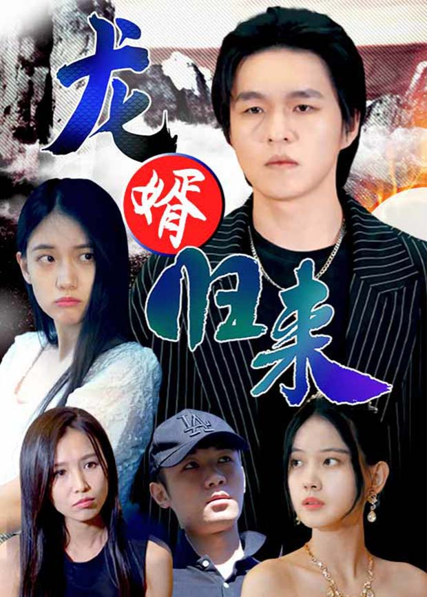 龙婿归来封面图