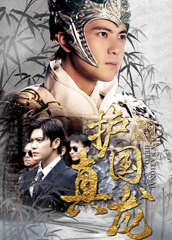 护国真龙封面图