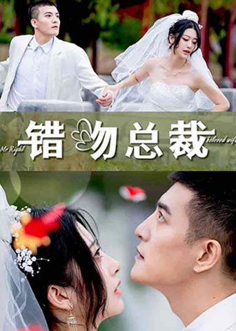 错吻总裁封面图