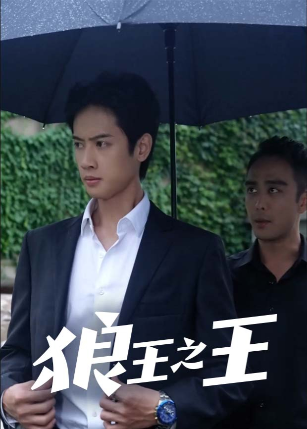 狼王之王封面图