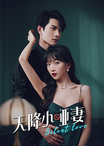 天降小哑妻封面图