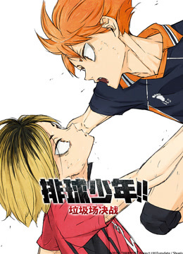 排球少年！！垃圾场决战封面图